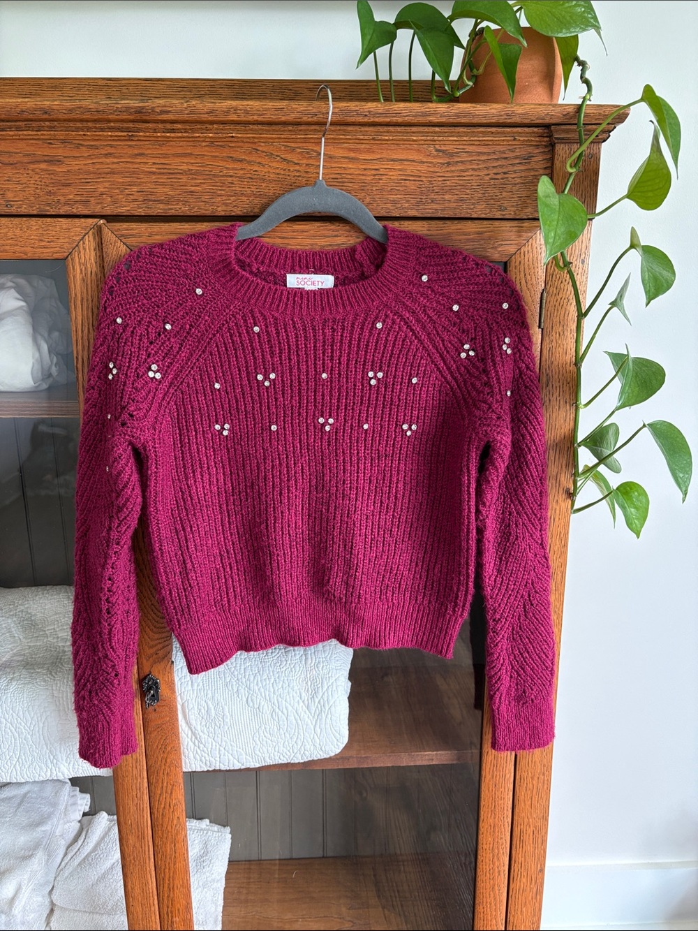 Society Berry Bejeweled Crewneck Sweater